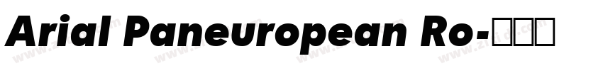 Arial Paneuropean Ro字体转换